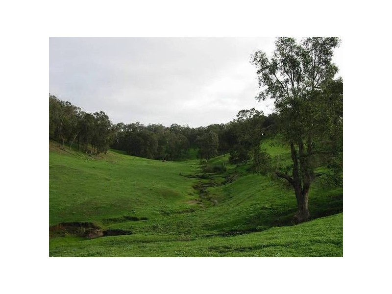 57 King Spring Road, Thomson Brook WA 6239