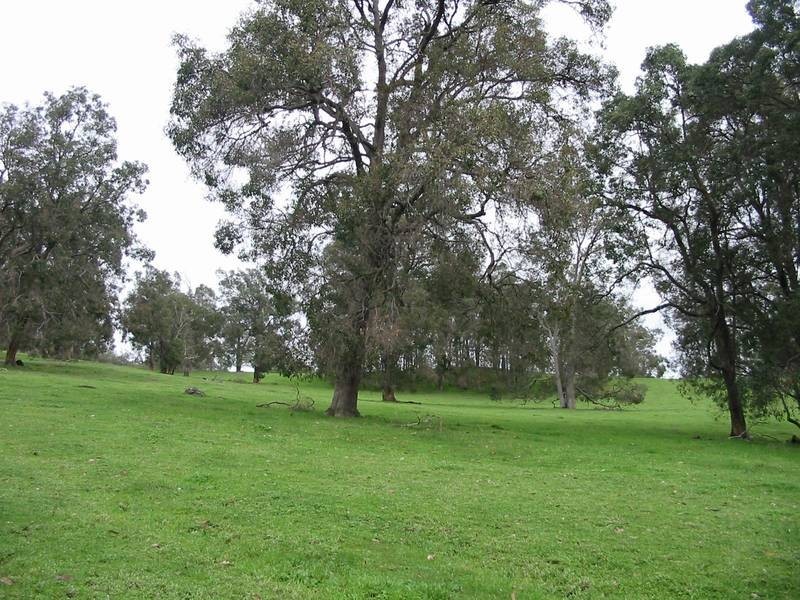 269 King Spring Road, Thomson Brook WA 6239