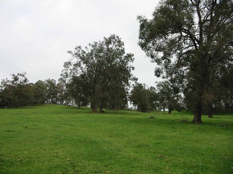 269 King Spring Road, Thomson Brook WA 6239