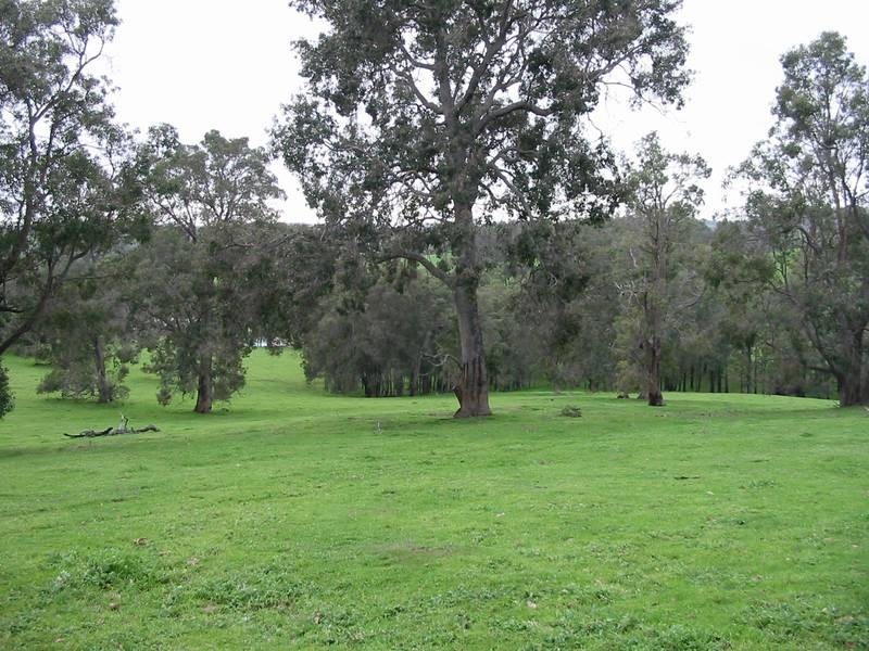 269 King Spring Road, Thomson Brook WA 6239