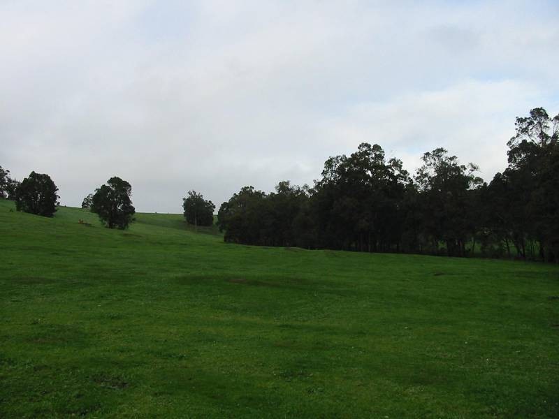 269 King Spring Road, Thomson Brook WA 6239