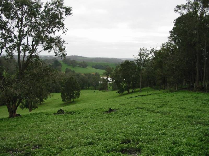 269 King Spring Road, Thomson Brook WA 6239