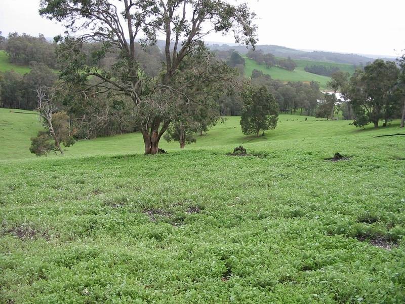 269 King Spring Road, Thomson Brook WA 6239