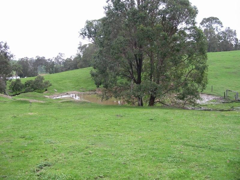 269 King Spring Road, Thomson Brook WA 6239