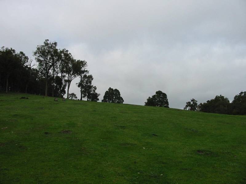 269 King Spring Road, Thomson Brook WA 6239