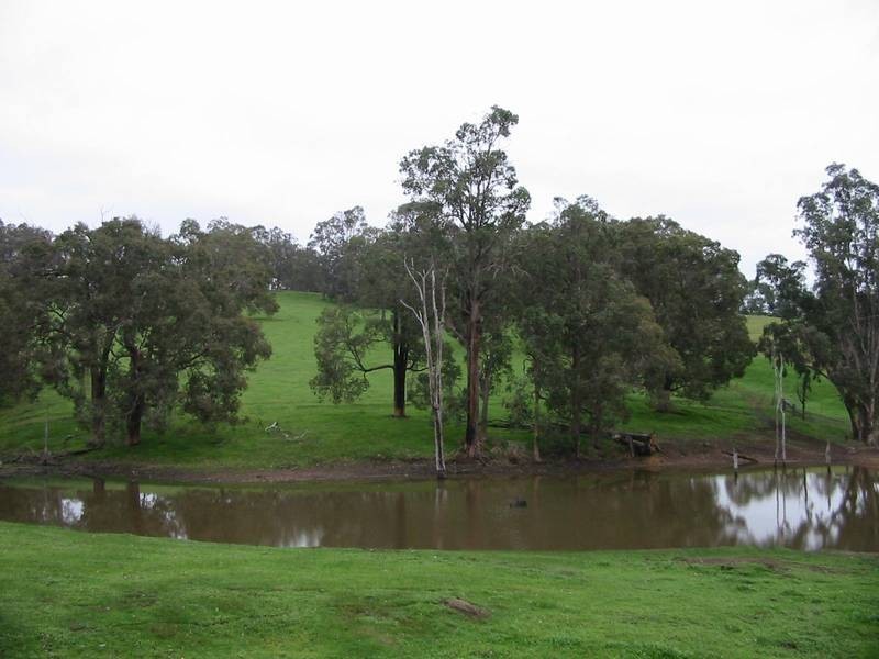 269 King Spring Road, Thomson Brook WA 6239