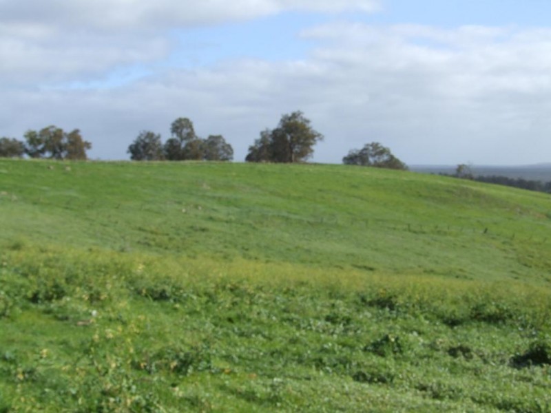 Lot 75,  Thomas Road, Newlands WA 6251