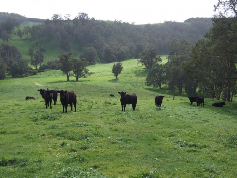 Lot 75,  Thomas Road, Newlands WA 6251