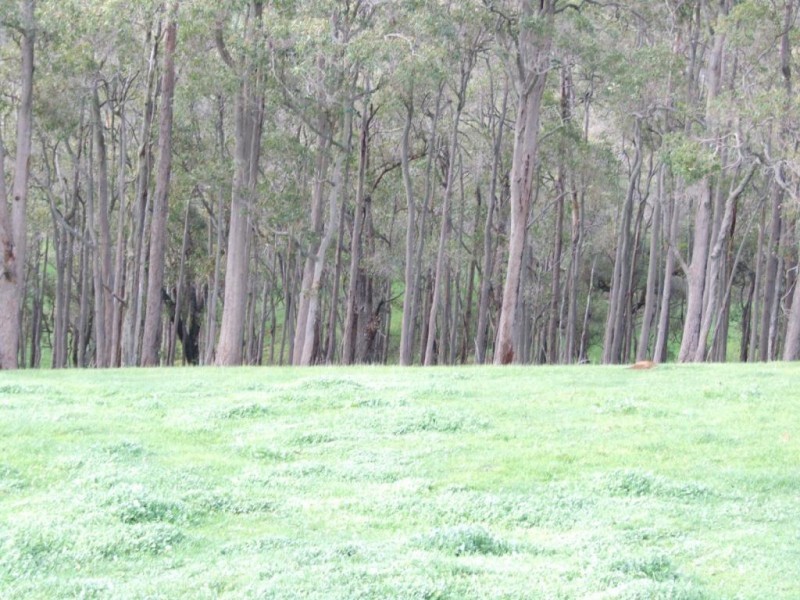 Lot 75,  Thomas Road, Newlands WA 6251