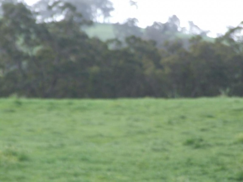 Lot 75,  Thomas Road, Newlands WA 6251