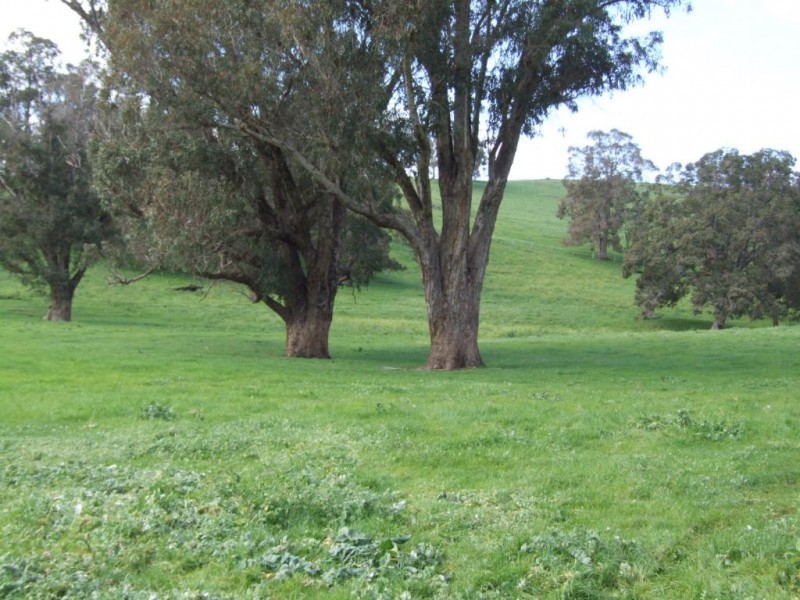 Lot 75,  Thomas Road, Newlands WA 6251