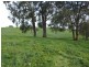 Lot 75,  Thomas Road, Newlands WA 6251