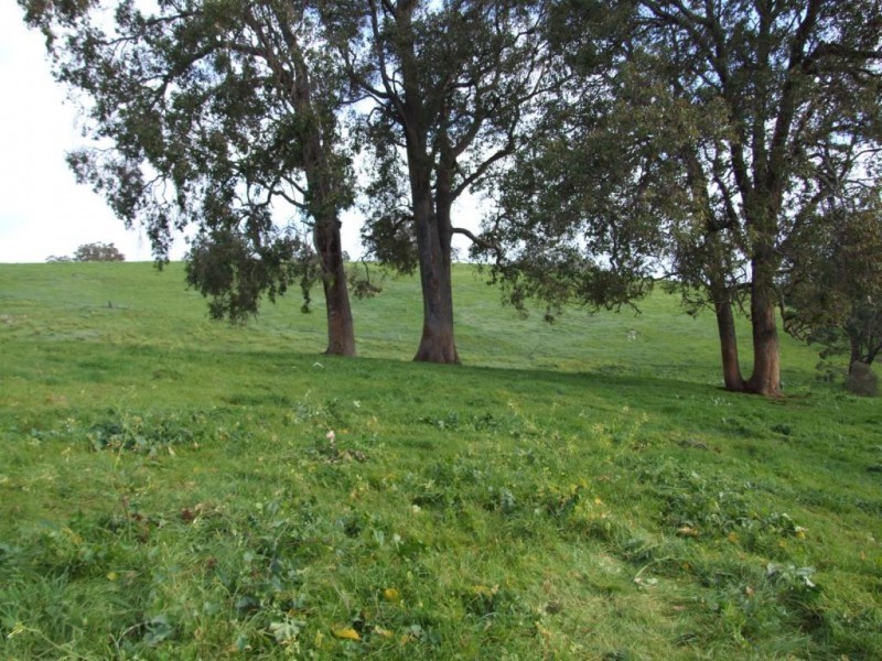 Lot 75,  Thomas Road, Newlands WA 6251