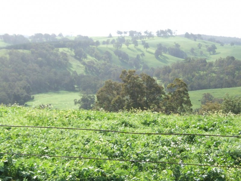 Lot 75,  Thomas Road, Newlands WA 6251