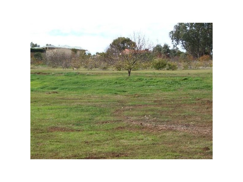 112 Palmer St, Donnybrook WA 6239