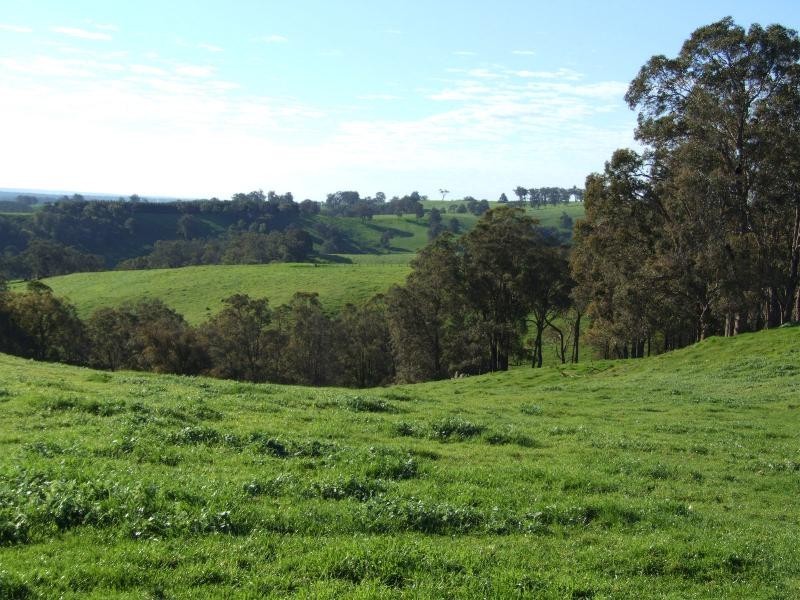 Thomas Road, Donnybrook WA 6239