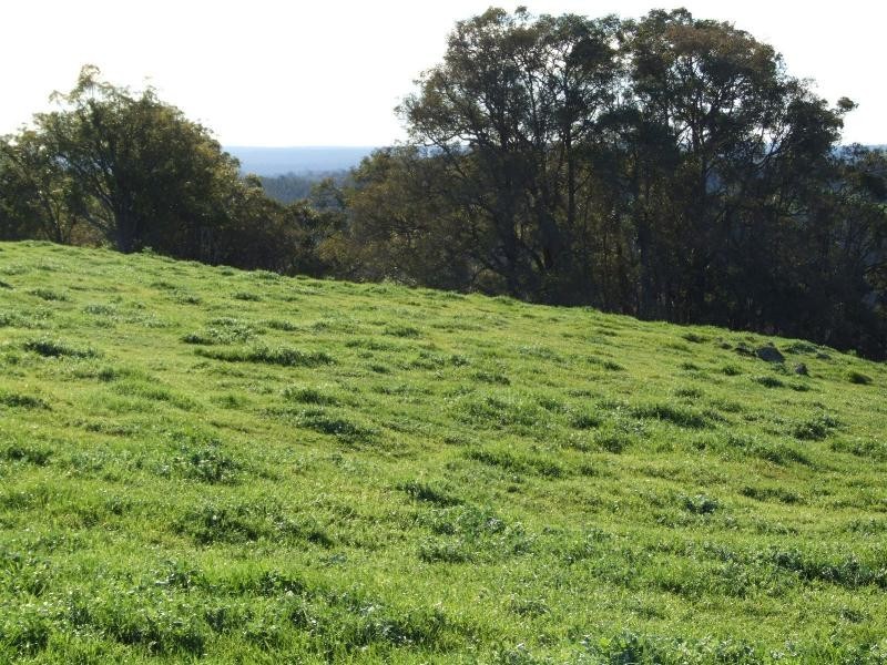 Thomas Road, Donnybrook WA 6239