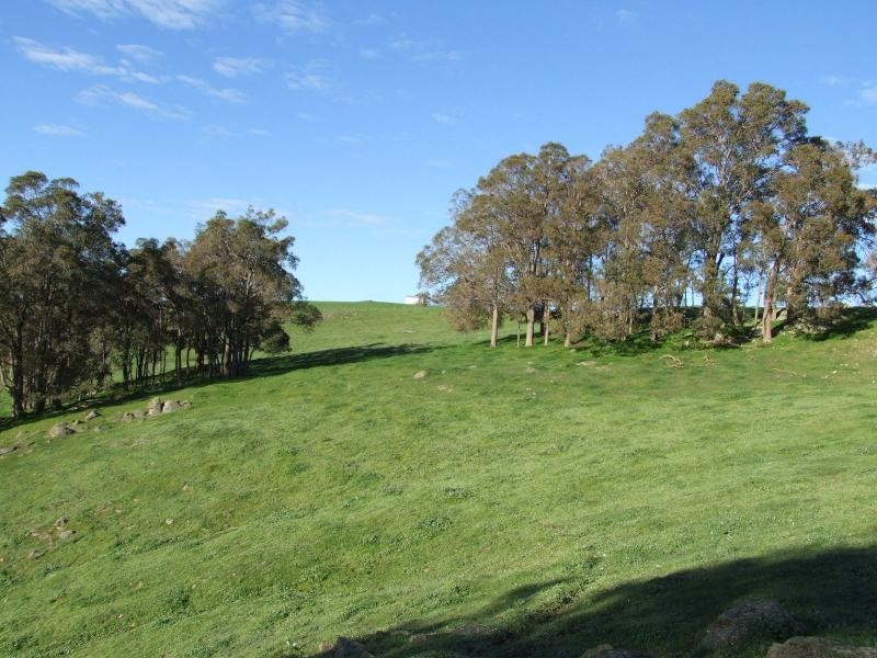 Thomas Road, Donnybrook WA 6239