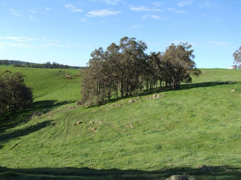 Thomas Road, Donnybrook WA 6239