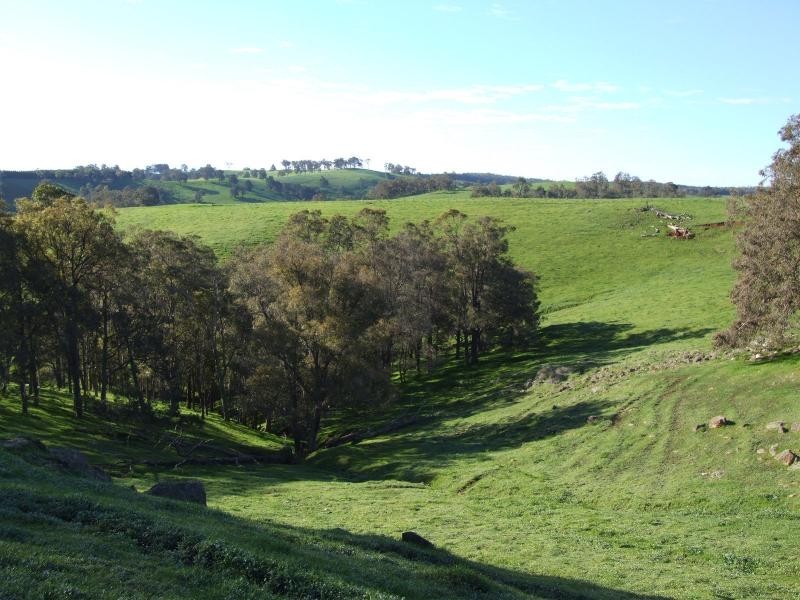 Thomas Road, Donnybrook WA 6239