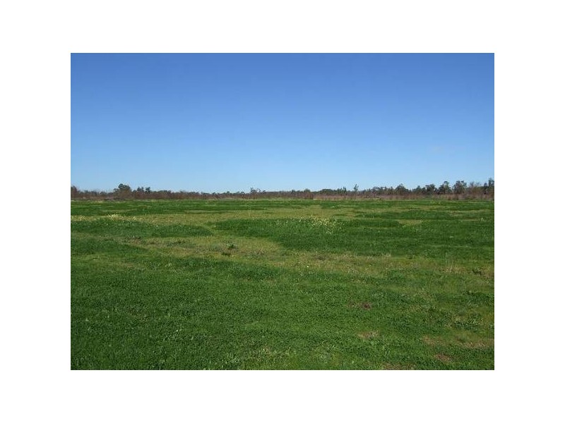 25 Cross Rd, Argyle WA 6239