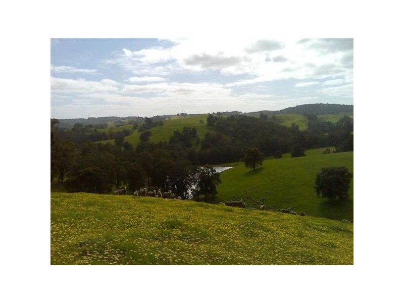 270 Little Road, Donnybrook WA 6239