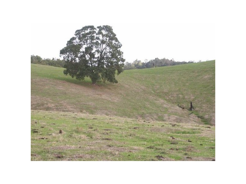 270 Little Road, Donnybrook WA 6239