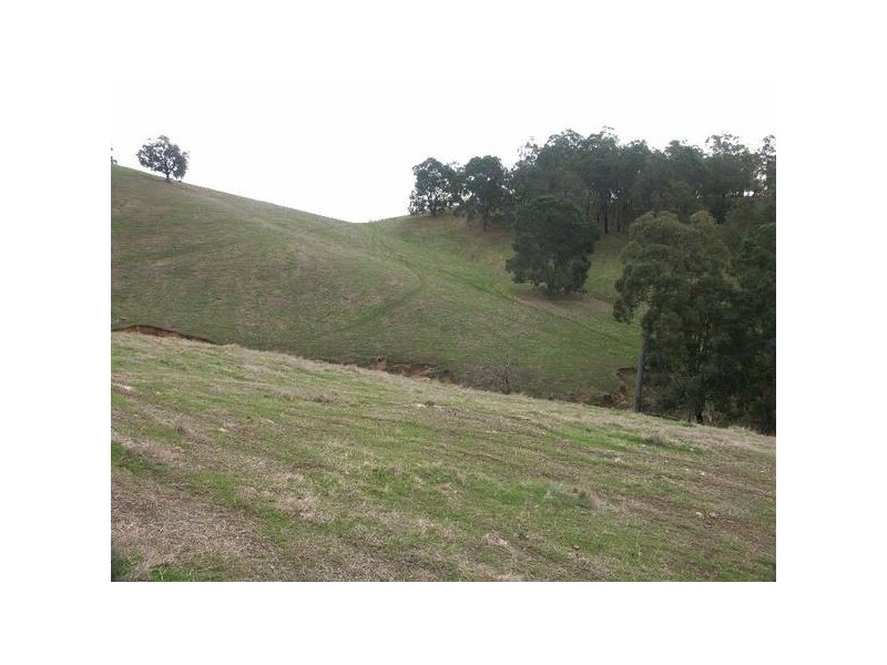 270 Little Road, Donnybrook WA 6239