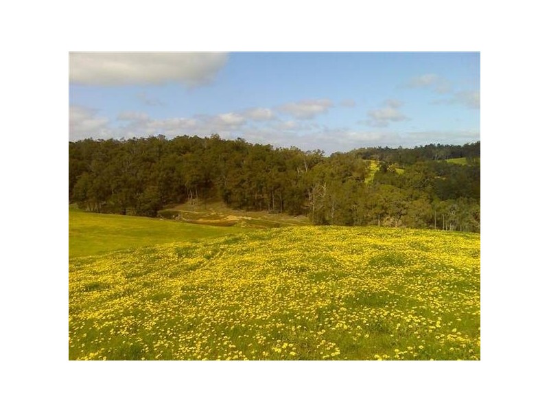 270 Little Road, Donnybrook WA 6239