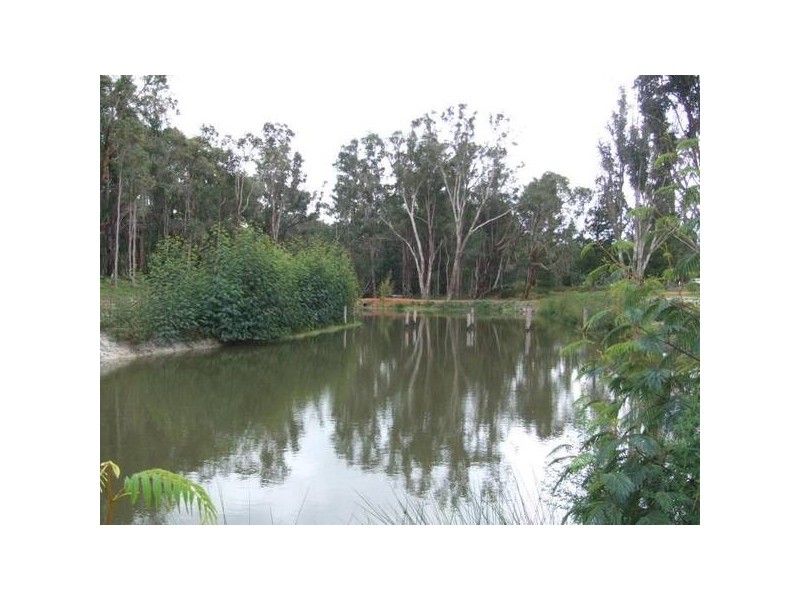 800 Macquarie Street, Noggerup WA 6225