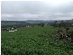 3543 Boyup Brook Rd, Noggerup WA 6225