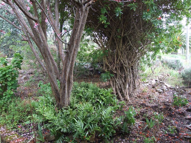 14 Fleet Street, Donnybrook WA 6239