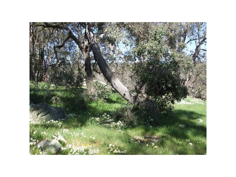 1 Cnr Yabberup And Carmichael Roads, Yabberup WA 6239