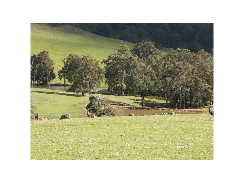 59 King Spring Road, Donnybrook WA 6239