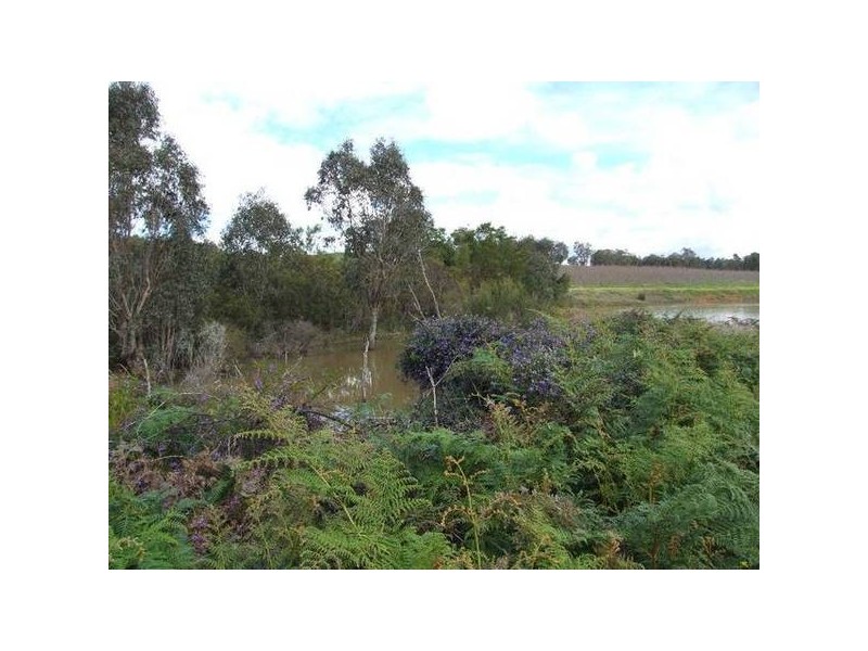 3124 Grist Road, Donnybrook WA 6239