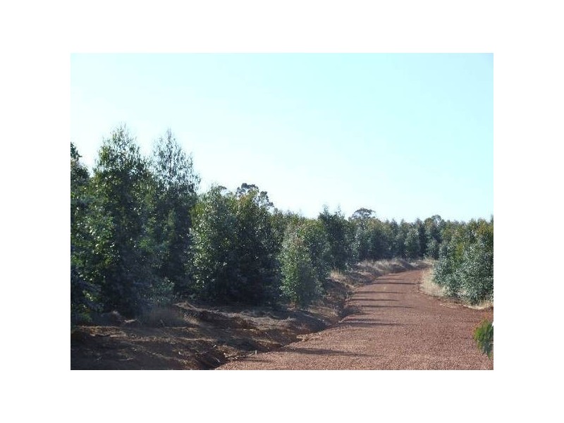 17/4223 Ferguson Road, Donnybrook WA 6239