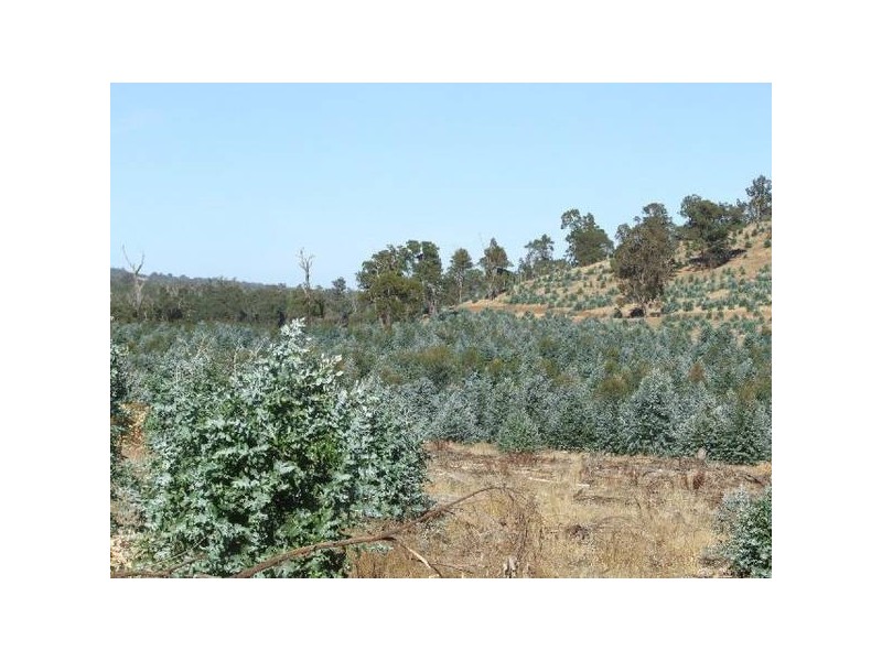 17/4223 Ferguson Road, Donnybrook WA 6239