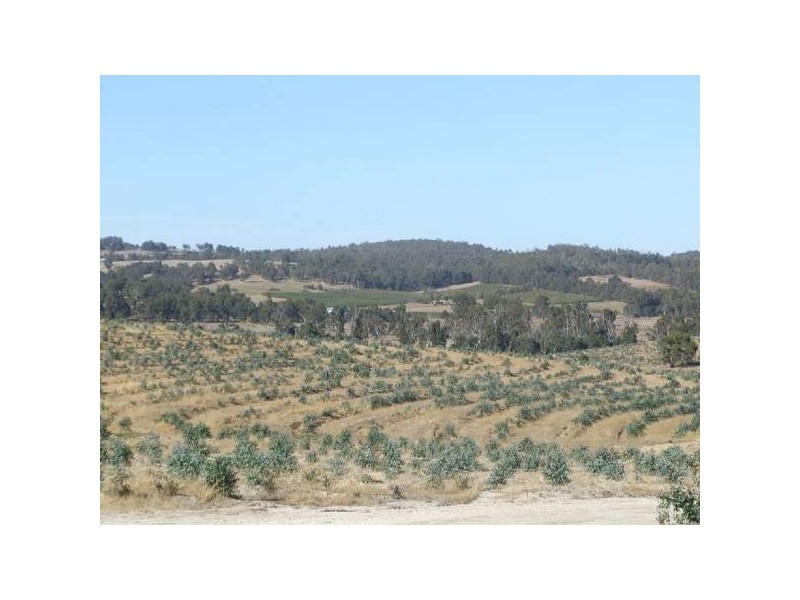 17/4223 Ferguson Road, Donnybrook WA 6239