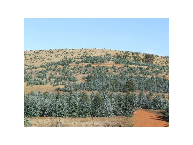 17/4223 Ferguson Road, Donnybrook WA 6239