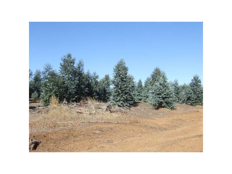 17/4223 Ferguson Road, Donnybrook WA 6239