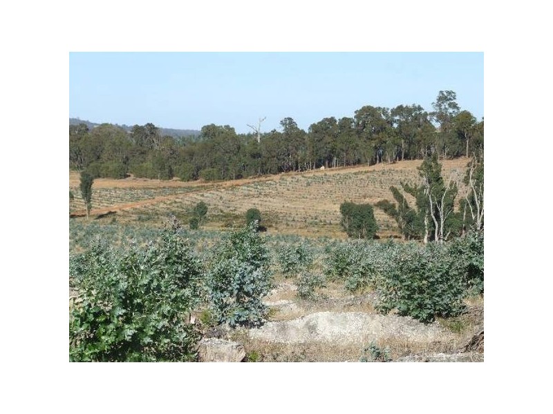 17/4223 Ferguson Road, Donnybrook WA 6239