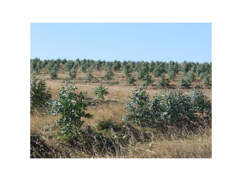 17/4223 Ferguson Road, Donnybrook WA 6239