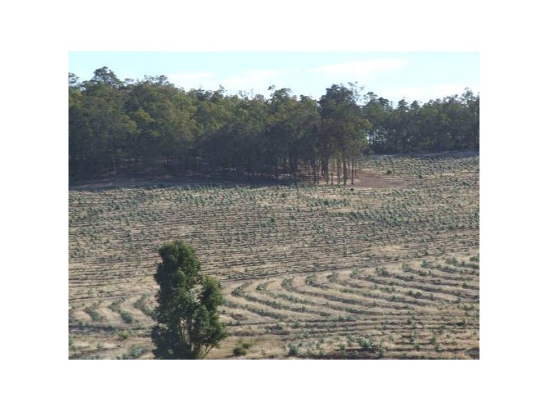 17/4223 Ferguson Road, Donnybrook WA 6239