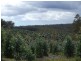 2027 Boyup Brook Rd, Yabberup WA 6239