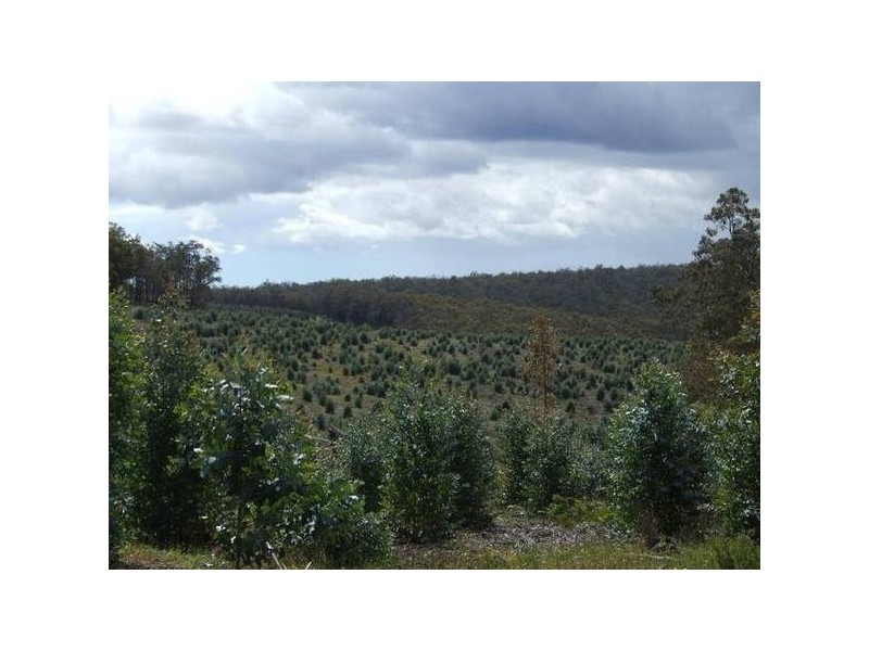 2027 Boyup Brook Rd, Yabberup WA 6239