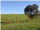2027 Boyup Brook Rd, Yabberup WA 6239