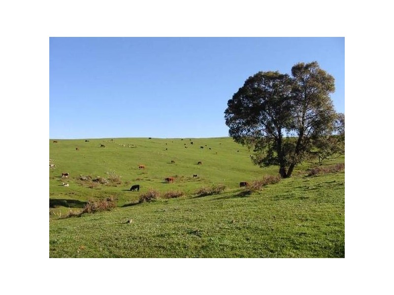 2027 Boyup Brook Rd, Yabberup WA 6239