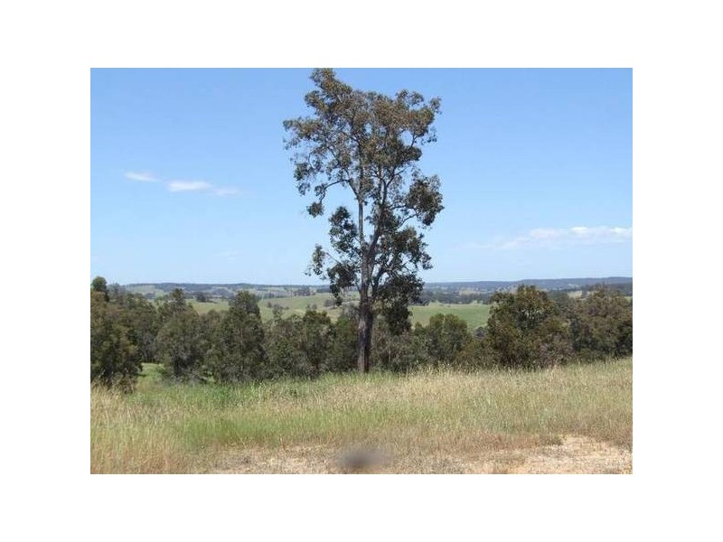 501 Charlie Creek Road, Donnybrook WA 6239