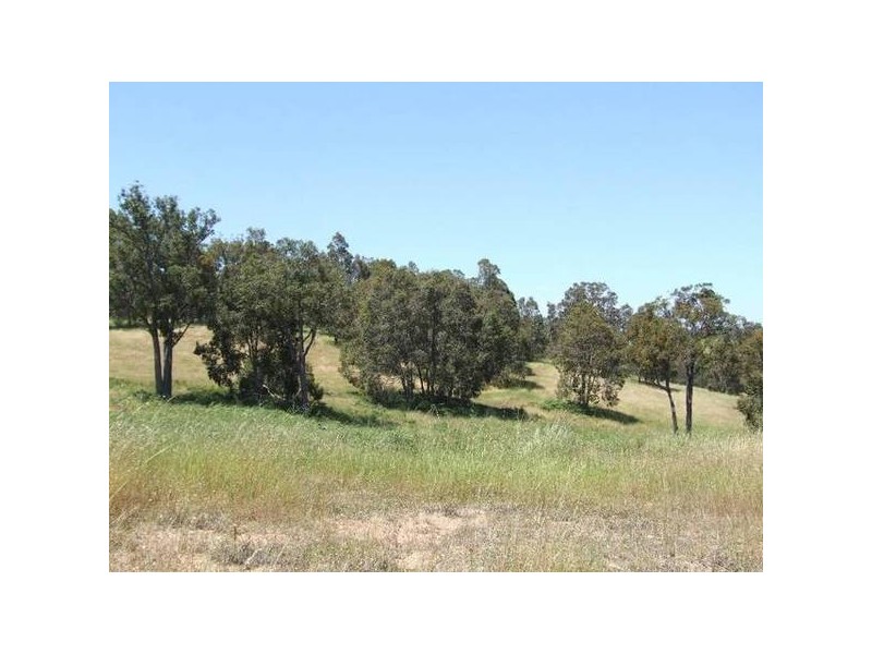 501 Charlie Creek Road, Donnybrook WA 6239