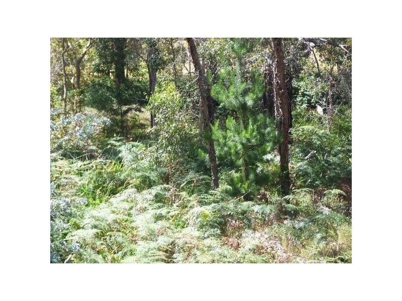 154 & 156 South West Highway, Donnybrook WA 6239